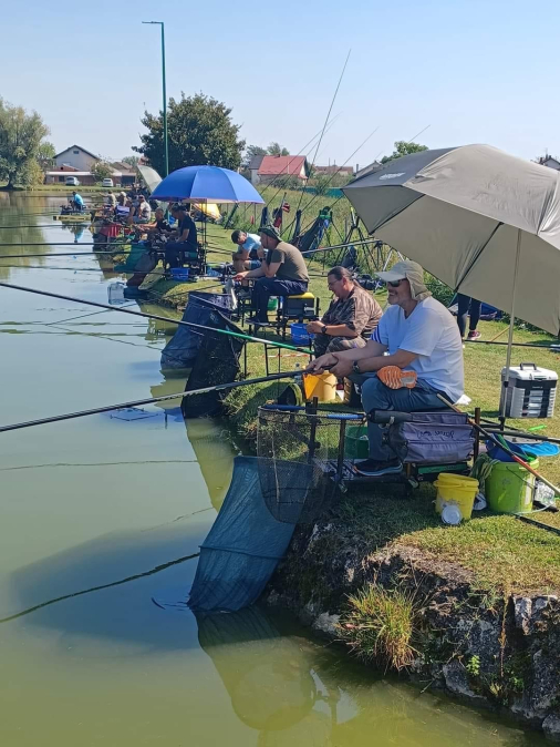 42A32284 4B02 4918 B7E6 81C2E533BDEF