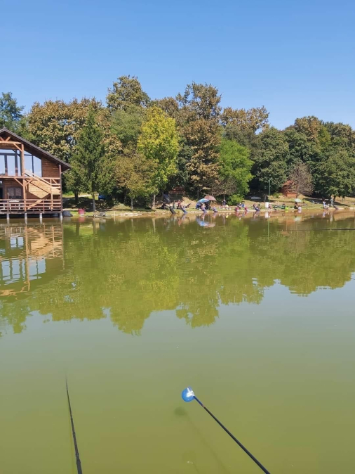 98452D7E 40AA 432A 803A 5350C9A79367