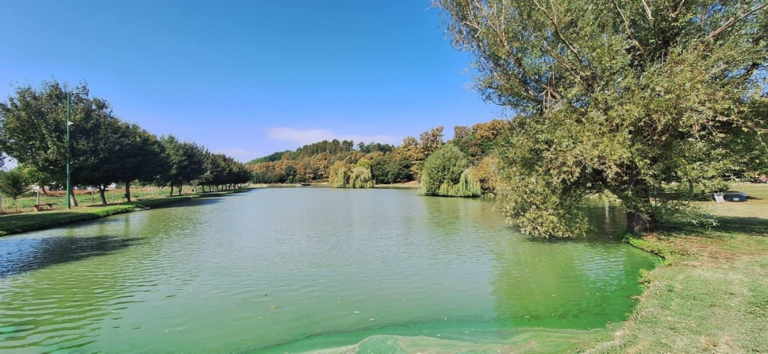 BAC85908 56FF 4694 A959 2D842FAF3A17